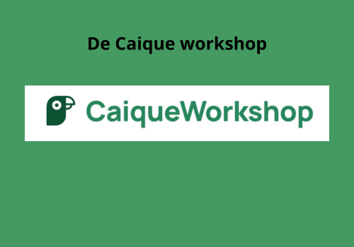 Caique Workshop Review