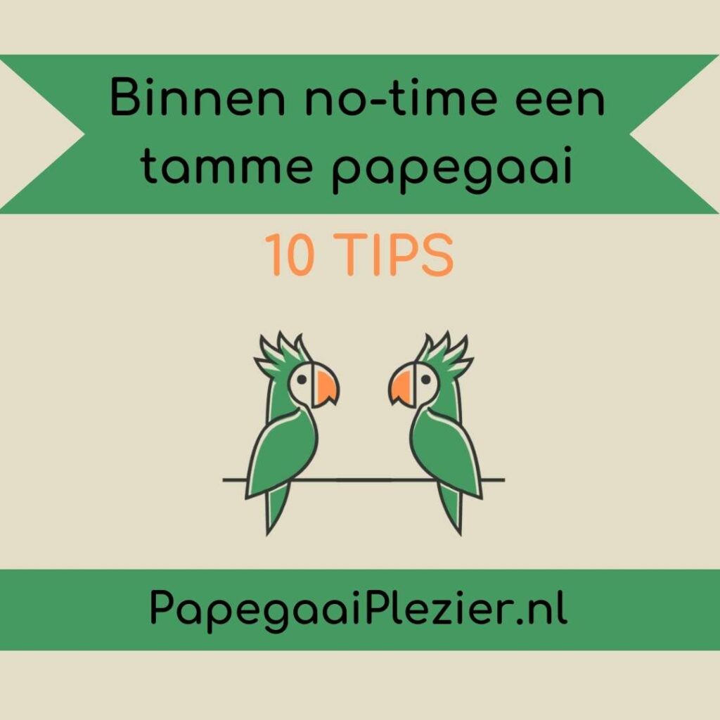 PapegaaiPlezier.nl - e-book - binnen no time een tamme papegaai