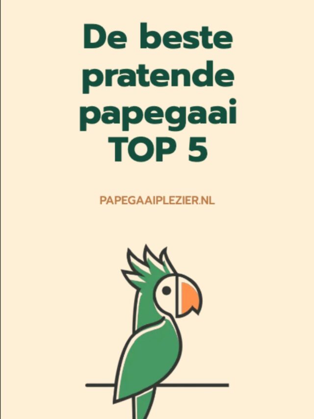 De beste pratende papegaai: top 5