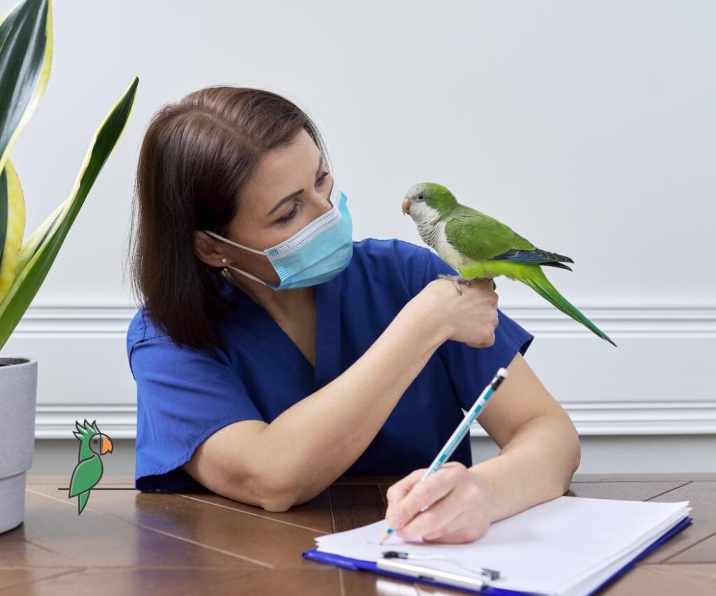 zieke papegaai bij de dierenarts