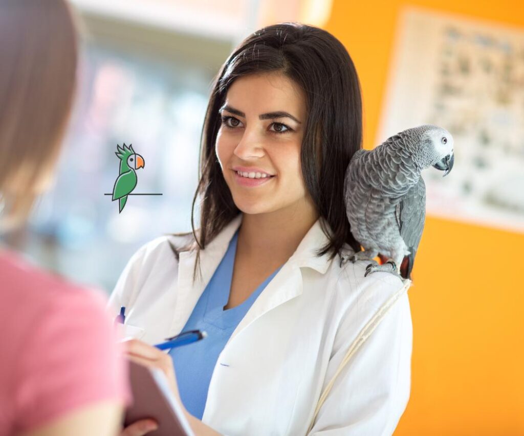 ziekte bij papegaaien herkennen